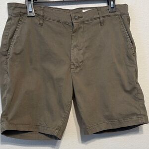 Wander Men's Olive Flat Front Shorts